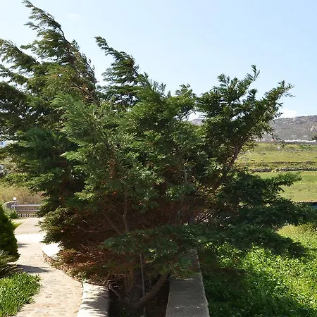 Olive Mykonos Апарт-отель