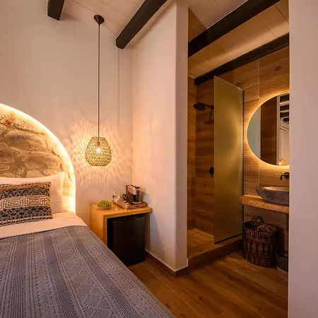Lägenhetshotell Olive Mykonos 4*