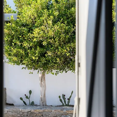 Olive Mykonos Άνω Μερά