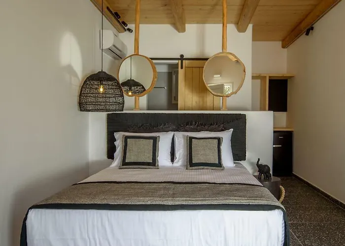 Appart hôtel Olive Mykonos 4*