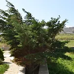 Olive Mykonos Aparthotel