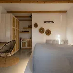 Olive Mykonos Ano Mera