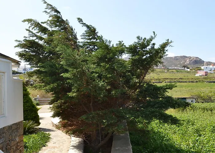 Olive Mykonos מלון דירות